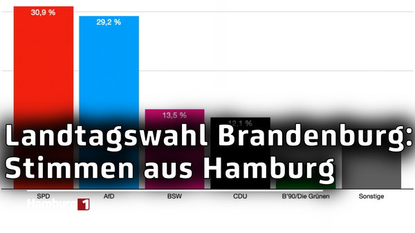 Nach Landtagswahl in Brandenburg: So reagieren die Hamburger Regierungsparteien