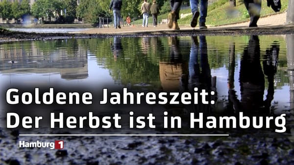 Regen, bunte Blätter und Kastanien: Der Herbst ist in Hamburg angekommen