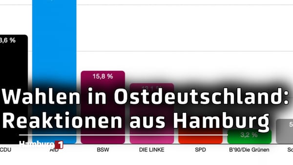 Landtagswahlen in Sachsen und Thüringen: Das sagen die Hamburger Parteien