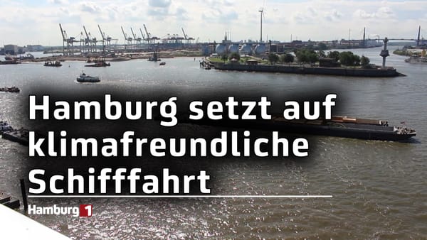 Hamburger Hafen: Senat setzt auf klimafreundliche Schifffahrt