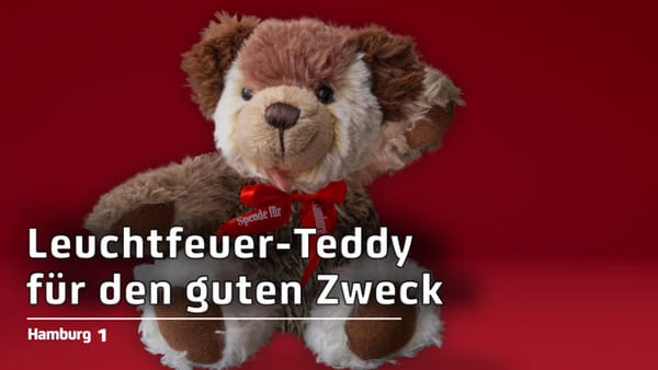 Teddy-Aktion von Hamburg Leuchtfeuer