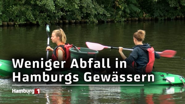 Green Kayak: Mehr als drei Tonnen Abfall weniger in Hamburgs Gewässern