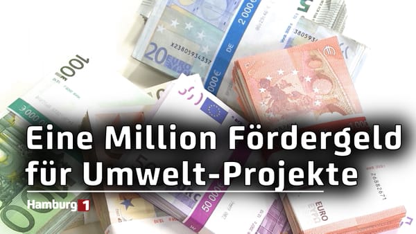 Fördergeld für Projekte: Bis zu eine Million Euro für Umwelt-Innovationen