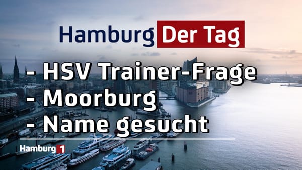 Hamburg Der Tag vom 11.11.2024