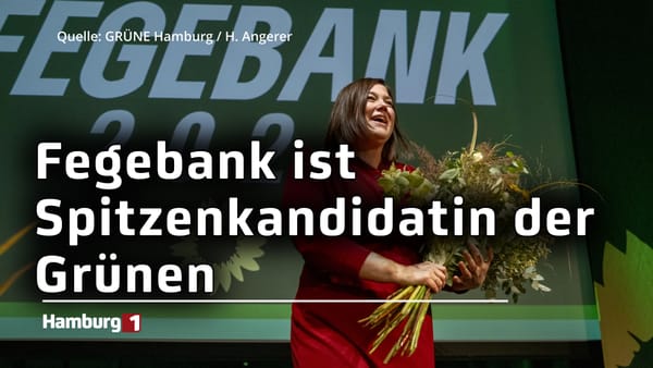 Katharina Fegebank ist die Spitzenkandidatin der Grünen für die Bürgerschaftswahl