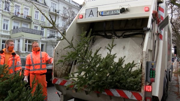 Termine stehen fest: Dann werden in ihren Stadtteil die Weihnachtsbäume abgeholt