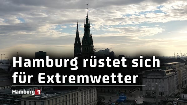 Hamburg rüstet sich für Extremwetter: Neue Klimaanpassungsstrategie beschlossen