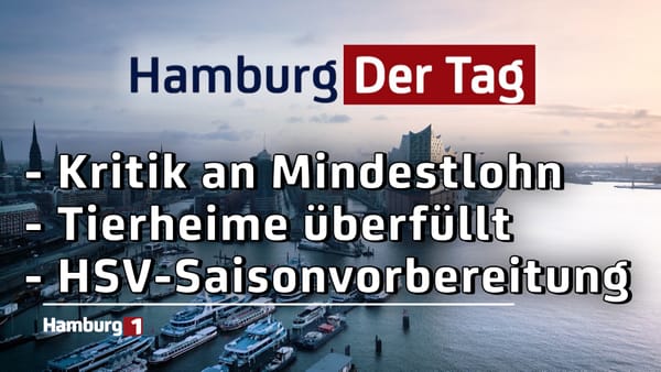 Hamburg Der Tag vom 24.06.2025