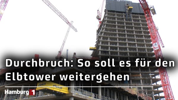 Zukunft des Elbtowers: Er wird kürzer und Naturkundemuseum soll einziehen