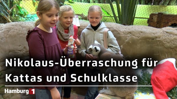 Tierpark Hagenbeck: Nikolaus-Aktion im Katta-Dorf und eine besondere Unterrichtsstunde