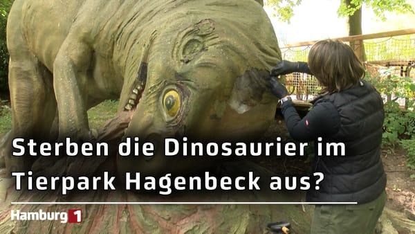 Restauratorin untersucht Modelle bei Hagenbeck: 117 Jahre alte Dinosaurier-Figuren auf dem Prüfstand