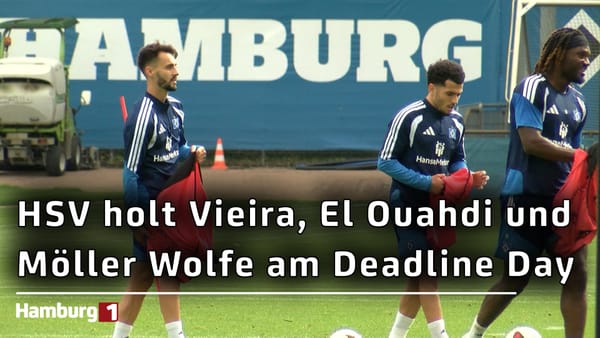 Deadline Day beim HSV: Fabio Vieira, El Ouahdi und Møller Wolfe da; Sahiti und Philippe weg